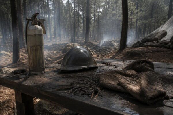 BC Wildfires: Over 5,000 Evacuated as Fires Surge Past 100