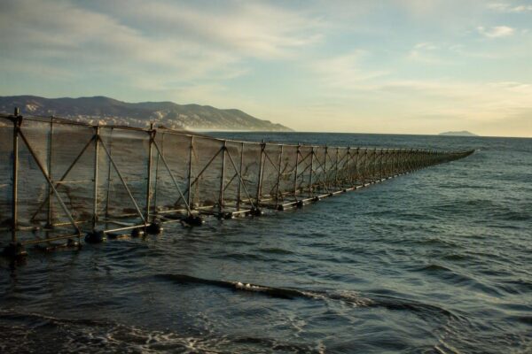 Ceuta border security tightened after mass migration influx