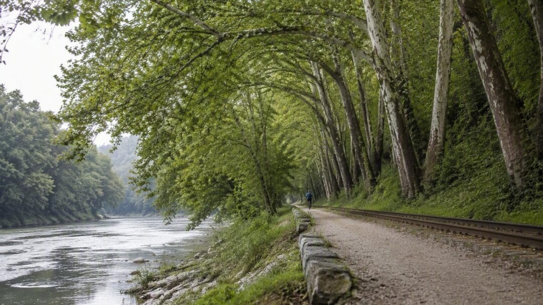 Discover New River Trail State Park: Activities, Facilities, and More