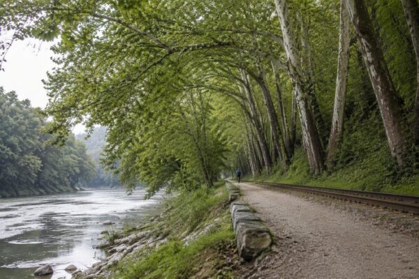 Discover New River Trail State Park: Activities, Facilities, and More