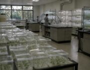 Explore USDA's 2026 Grants for Agricultural and Food Science Development
