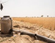 How Climate Change is Transforming Rural Areas and Driving Urban Migration