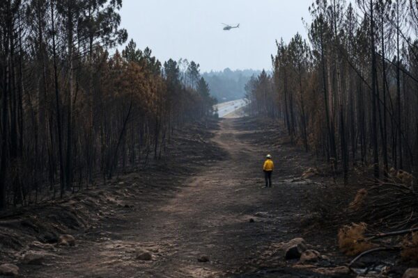 Ontario Wildfires: Progress Made but Recovery Continues