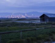 Organic farming growth: us agriculture's response to rising consumer demand