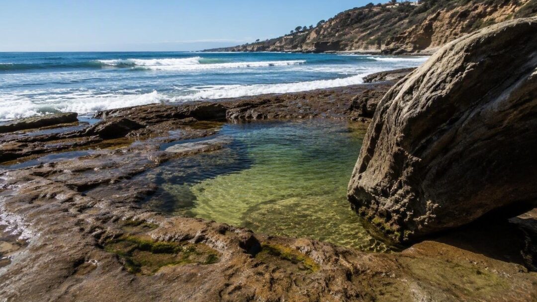 Understanding Vibrio Vulnificus: A Growing Health Concern in Warmer Waters