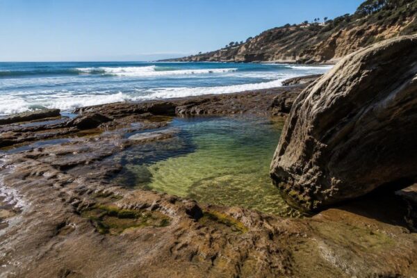 Understanding Vibrio Vulnificus: A Growing Health Concern in Warmer Waters