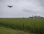 Animal rights activists and the FAA: the drone debate intensifies