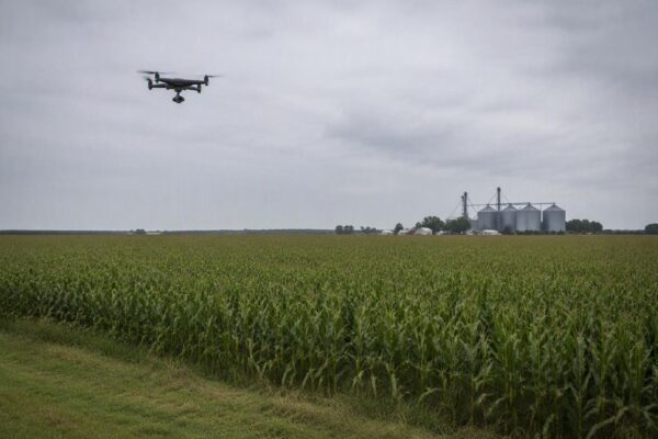 Animal rights activists and the FAA: the drone debate intensifies
