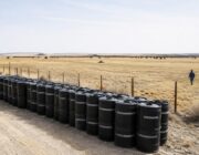USDA reports 50 screwworm infestations and expands sterile-fly program