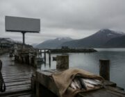 Midterm showdown: Alaska fisheries, Trump’s ad blitz, and GOP’s price-tag challenge