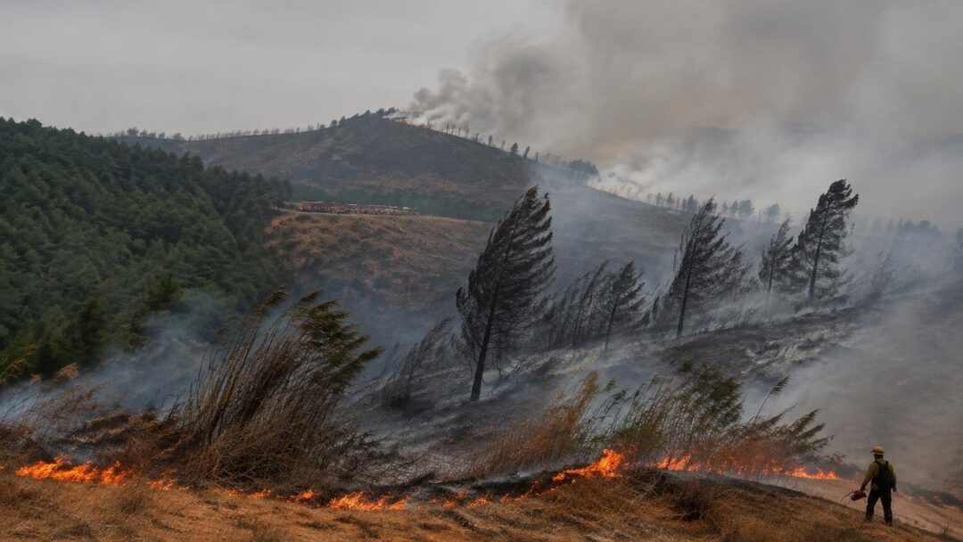 Orange County blaze forces thousands to flee as winds spread flames