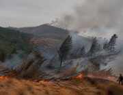 Orange County blaze forces thousands to flee as winds spread flames