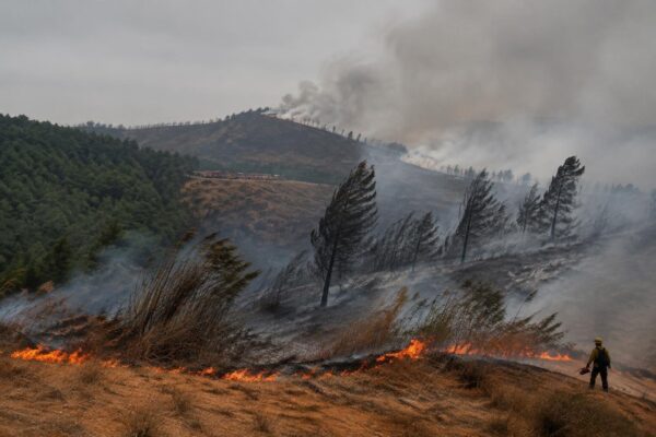 Orange County blaze forces thousands to flee as winds spread flames