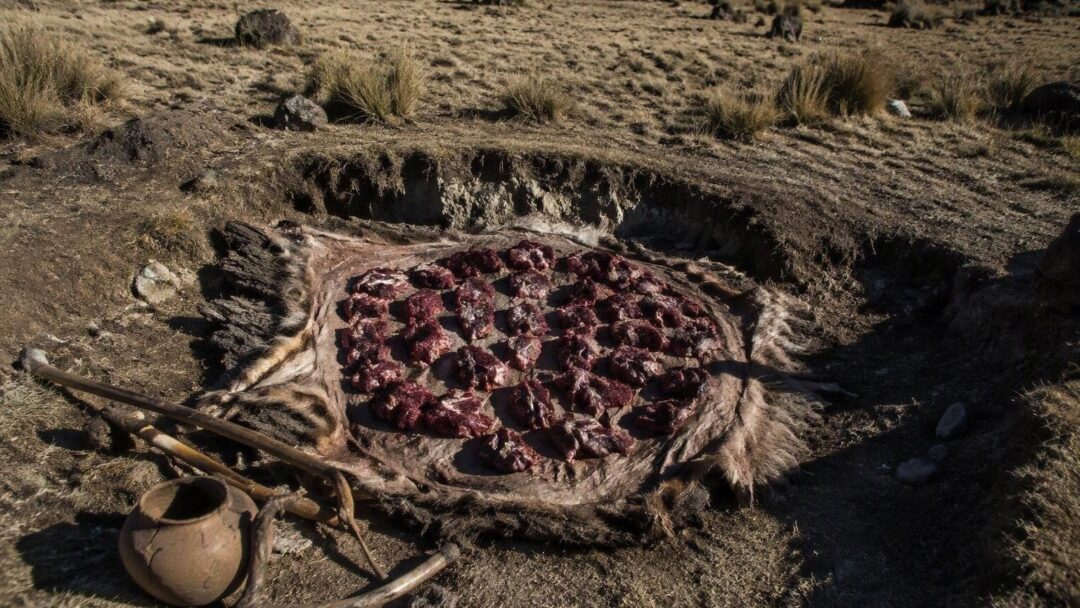 Rethinking equality among the Hadza, Tsimane and other foragers