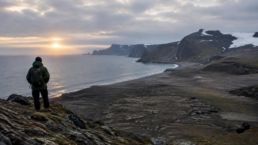 Zavodovski Island loses half a million chinstrap penguins