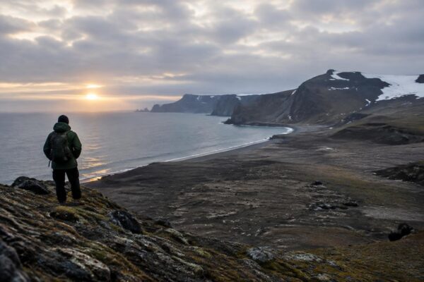 Zavodovski Island loses half a million chinstrap penguins