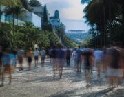 Caso Master, Bolsa Família e plano para o STF: resumo da bancada