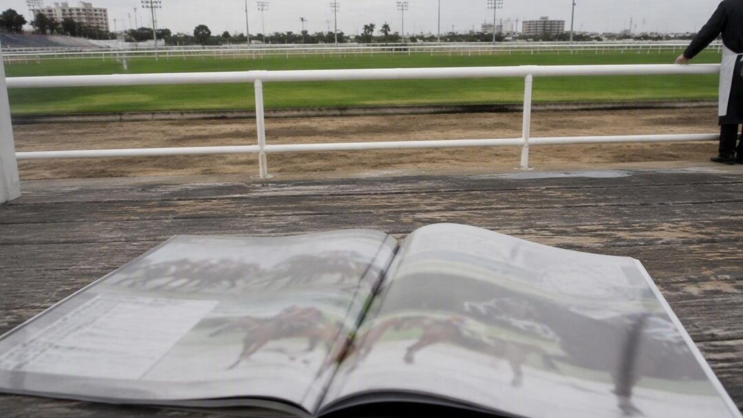 Reunión 21 del Hipódromo Nacional de Valencia: cambios en la programación del 15 de agosto