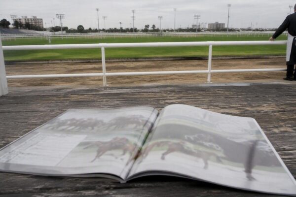 Reunión 21 del Hipódromo Nacional de Valencia: cambios en la programación del 15 de agosto