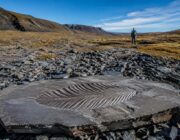 Fósil de Charnia en Noruega revela detalles inéditos de la vida antigua