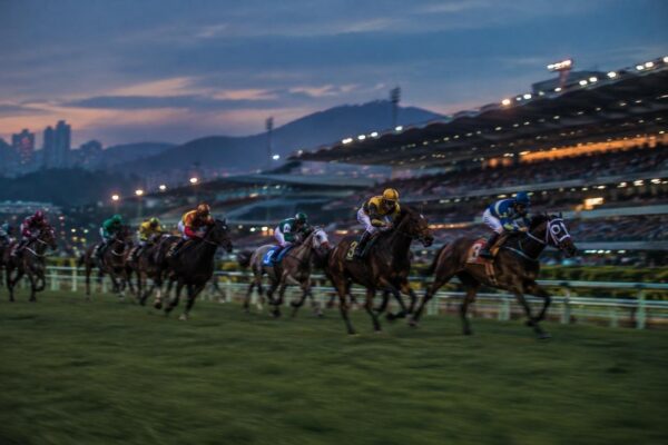 Clásicos y bajas en la reunión 40 del Hipódromo Internacional La Rinconada