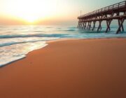 Exploring the Evolution of Ocean Beach's Shoreline