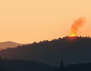 Wildfire detected in the wider Florida region