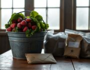 Florida Farmers Get $1.1 Billion in Federal Aid Following Historic Freeze