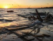 Early Morning Boat Crash in Bay Harbor Islands Sends Three to Hospital
