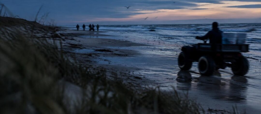 Hurricane Isaias shatters turtle nesting hopes on St. George Island