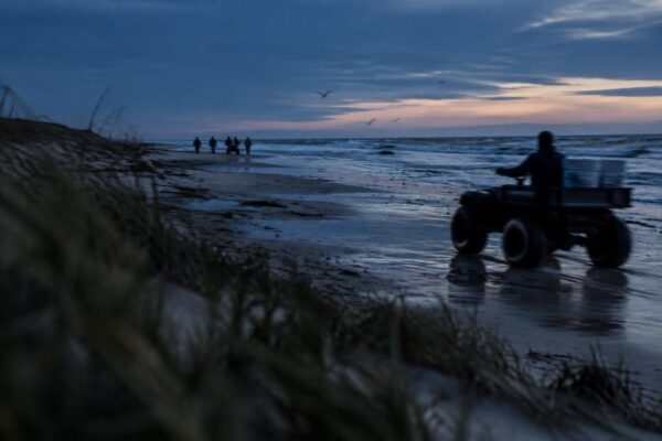 Hurricane Isaias shatters turtle nesting hopes on St. George Island