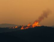 Wildfire detected in the wider New York region