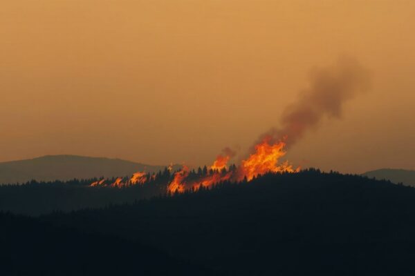 Wildfire detected in the wider New York region