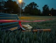 Teen Killed in Little Bay Park Brawl: Police Seek Suspects