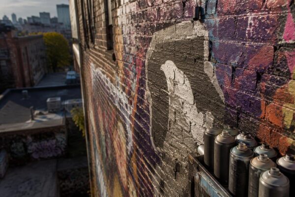 Bella Vista's Graffiti War: Joel Palmer vs. Street Artists