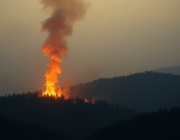 Wildfire Detected Near Texas Border, Monitored by NASA FIRMS