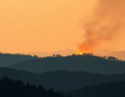 Wildfire detected in the wider Texas region