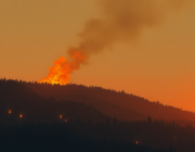 Wildfire detected near Texas, 176.3 km west