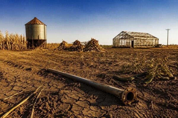 Impact van hittegolf in Frankrijk en België: sterftecijfers en landbouwschade