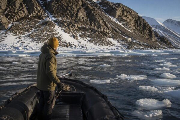 Boete van 50.000 kronen voor het wakker maken van een ijsbeer op Spitsbergen