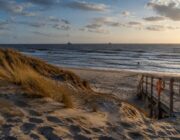 Dramatische reddingsactie bij Callantsoog eindigt in tragedie