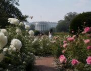 First Lady Melania Trump lacht met geruchten over haar afwezigheid