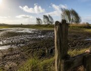 Hoe de natuur reageert op extreme weersomstandigheden