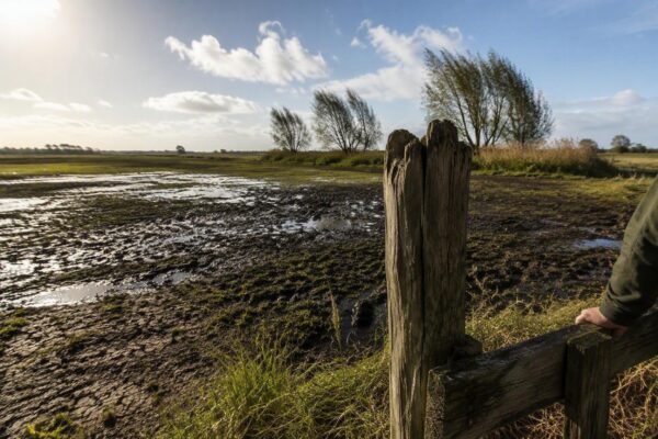 Hoe de natuur reageert op extreme weersomstandigheden