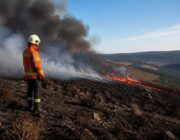 Hoge Venen in België verwoest door recordbrand: 3000 hectare verloren