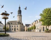 Knijten Overlast in Schellebelle Verminderd Dankzij Effectieve Maatregelen