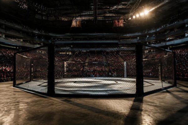 Reinier de Ridder verslaat Roman Dolidze in UFC Sacramento: emotionele terugkeer naar de overwinning