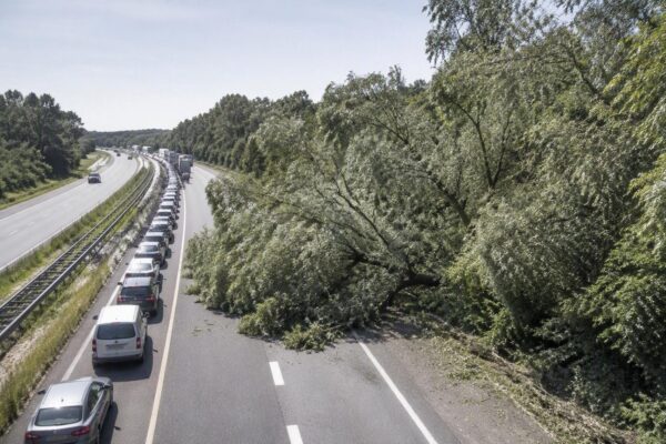 Spitsstrook A50 blijft weken dicht door overhangende takken: Rijkswaterstaat reageert