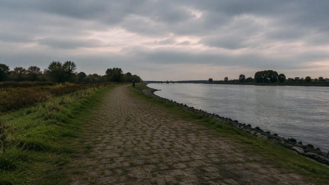 Vrouw overleden gevonden langs Maas in Venlo: politie onderzoekt verdachte situatie