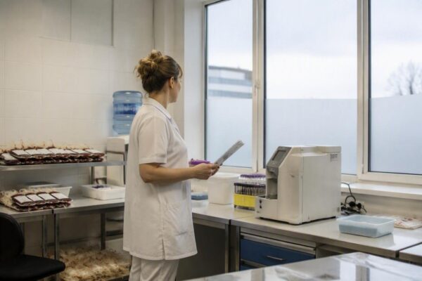 Westnijlvirus in Nederland: Bloeddonor positief getest
